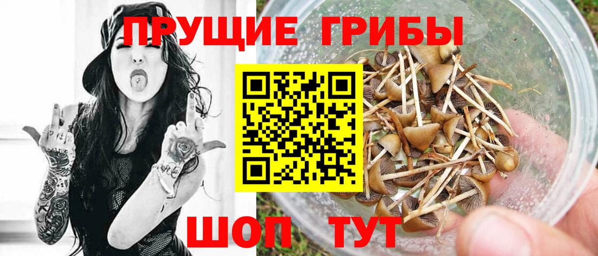 Псилоцибиновые грибы прущие грибы  Вход с VPN  Ипатово 