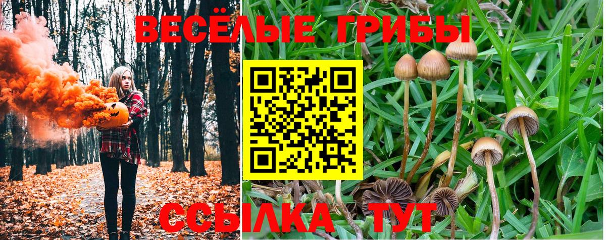 Псилоцибиновые грибы MAGIC MUSHROOMS Ипатово